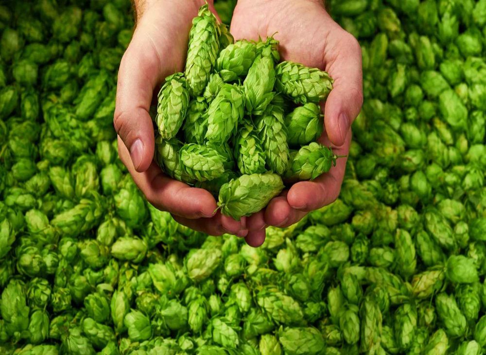 Brewery equipment,fermenter,brewhouses,brew houses,brews house,brewery house,brew house,brewing house,brewhouse,brew house